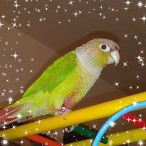 Meet your Posher, Audrey